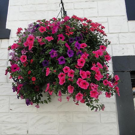 The Red Lion Inn Doune Exteriör bild